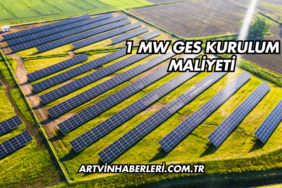 1 MW GES Kurulum Maliyeti