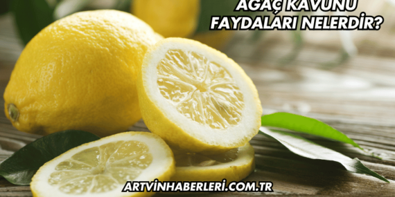 Ağaç Kavunu Faydaları Nelerdir?