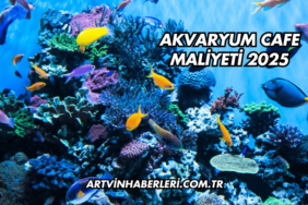 Akvaryum Cafe Maliyeti 2025