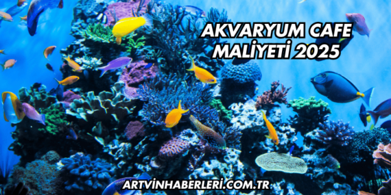 Akvaryum Cafe Maliyeti 2025