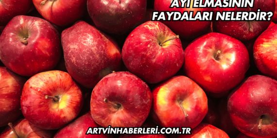 Ayı Elmasının Faydaları Nelerdir?