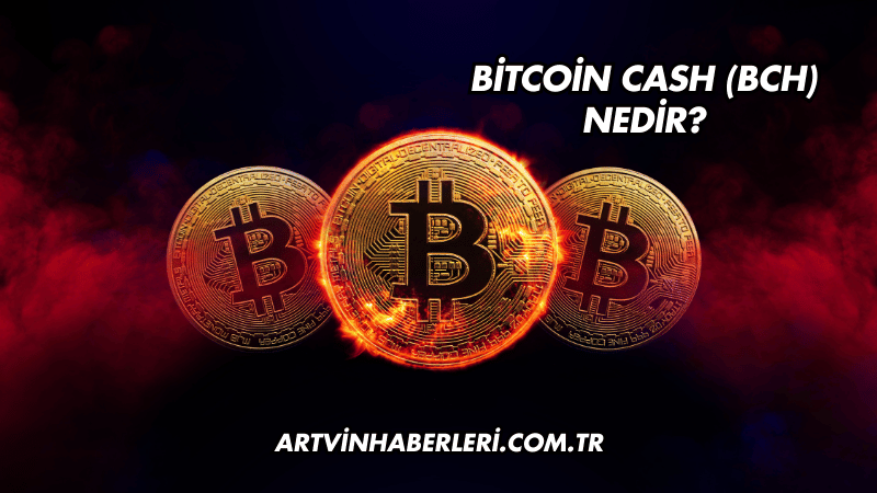 Bitcoin Cash (BCH) Nedir?
