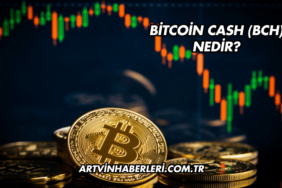 Bitcoin Cash (BCH) Nedir?