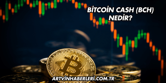 Bitcoin Cash (BCH) Nedir?