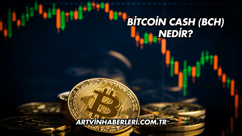 Bitcoin Cash (BCH) Nedir?