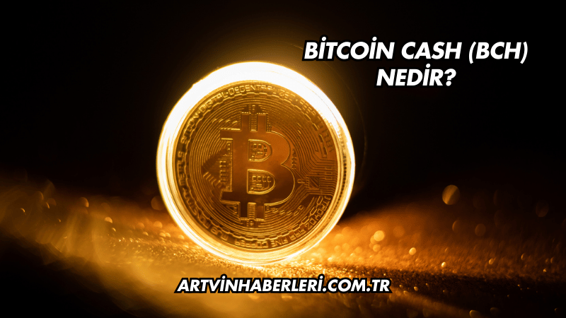 Bitcoin Cash (BCH) Nedir?