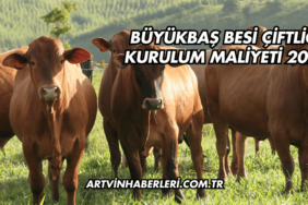 Büyükbaş Besi Çiftliği Kurulum Maliyeti 2025