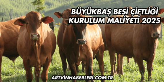 Büyükbaş Besi Çiftliği Kurulum Maliyeti 2025