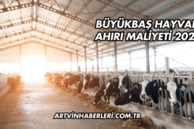 Büyükbaş Hayvan Ahırı Maliyeti 2025