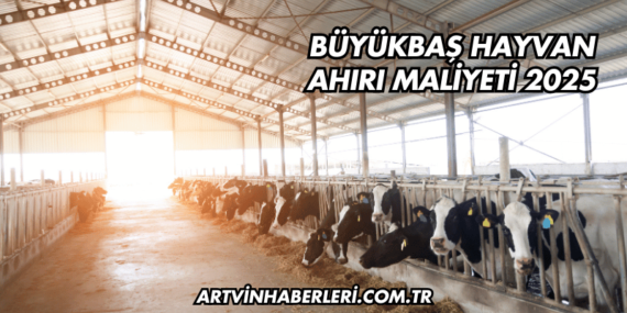 Büyükbaş Hayvan Ahırı Maliyeti 2025