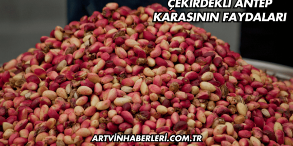 Çekirdekli Antep Karasının Faydaları