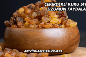 Çekirdekli Kuru Siyah Üzümün Faydaları