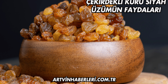 Çekirdekli Kuru Siyah Üzümün Faydaları