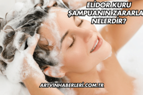 Elidor Kuru Şampuanın Zararları Nelerdir?