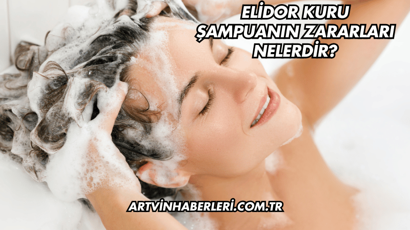 Elidor Kuru Şampuanın Zararları Nelerdir?