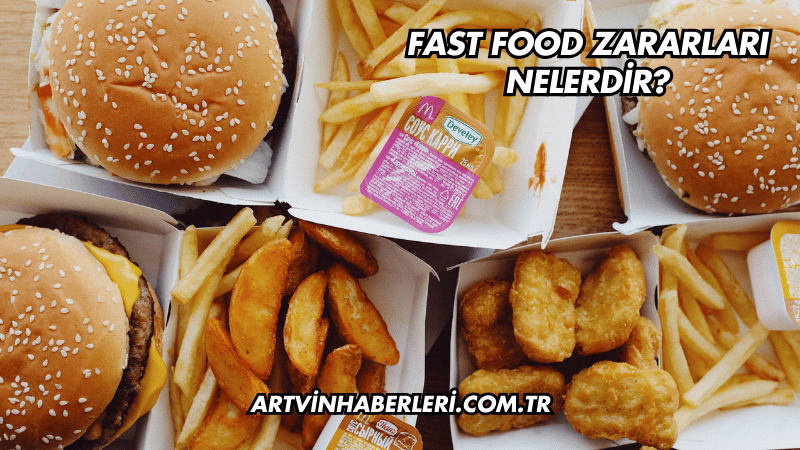 Fast Food Zararları Nelerdir?