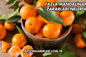 Fazla Mandalinanın Zararları Nelerdir?