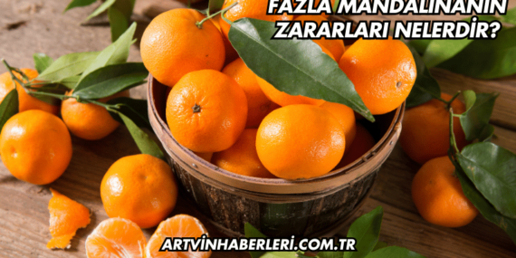 Fazla Mandalinanın Zararları Nelerdir?