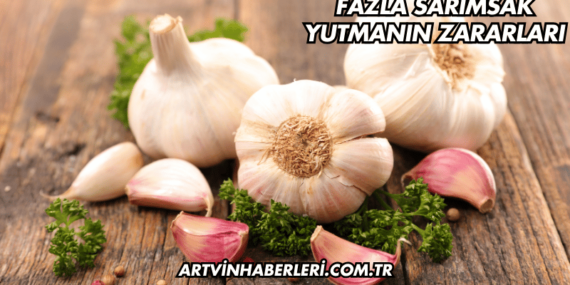 Fazla Sarımsak Yutmanın Zararları