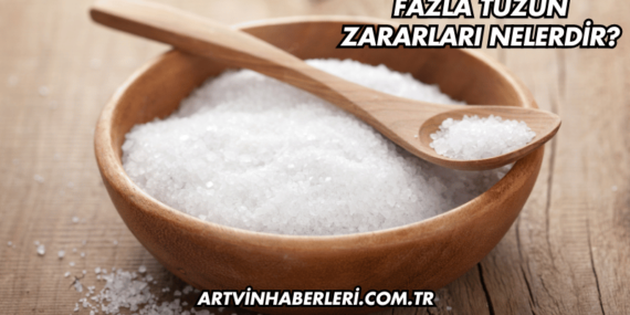 Fazla Tuzun Zararları Nelerdir?