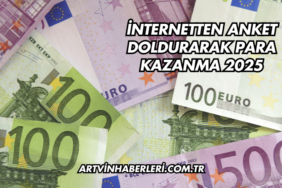 İnternetten Anket Doldurarak Para Kazanma 2025