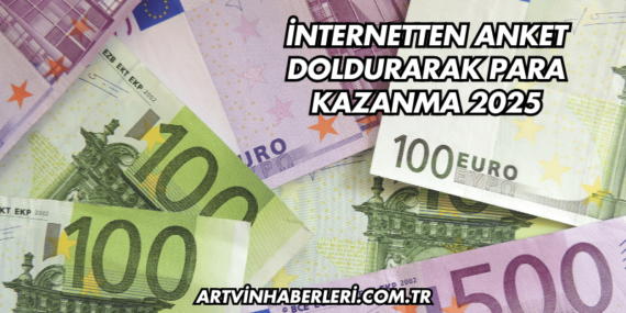 İnternetten Anket Doldurarak Para Kazanma 2025