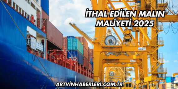 İthal Edilen Malın Maliyeti 2025
