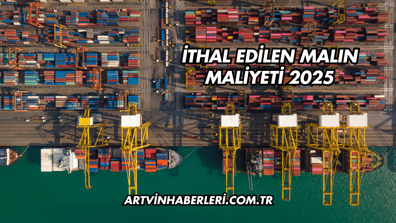İthal Edilen Malın Maliyeti 2025