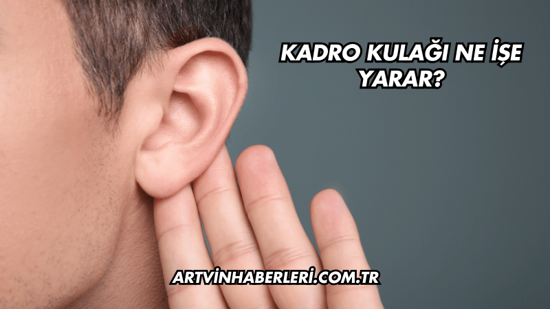 Kadro Kulağı Ne İşe Yarar?