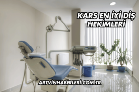 Kars En İyi Diş Hekimleri