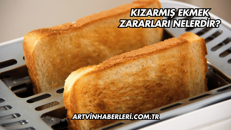 Kızarmış Ekmek Zararları Nelerdir?