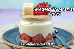 Magnolia Maliyeti 2025