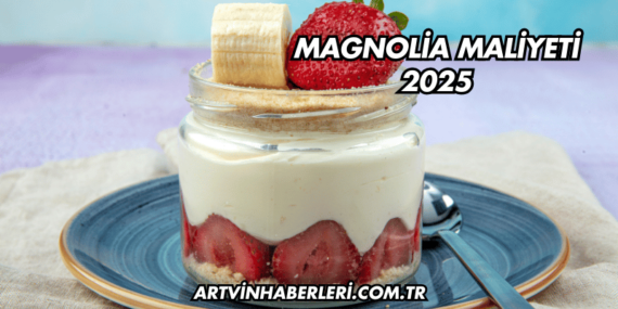 Magnolia Maliyeti 2025