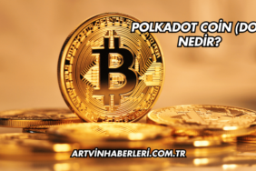 Polkadot Coin (DOT) Nedir?