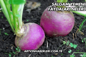 Şalgam Yemenin Faydaları Nelerdir?