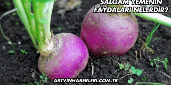 Şalgam Yemenin Faydaları Nelerdir?