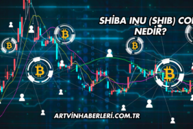 Shiba Inu (SHIB) Coin Nedir?