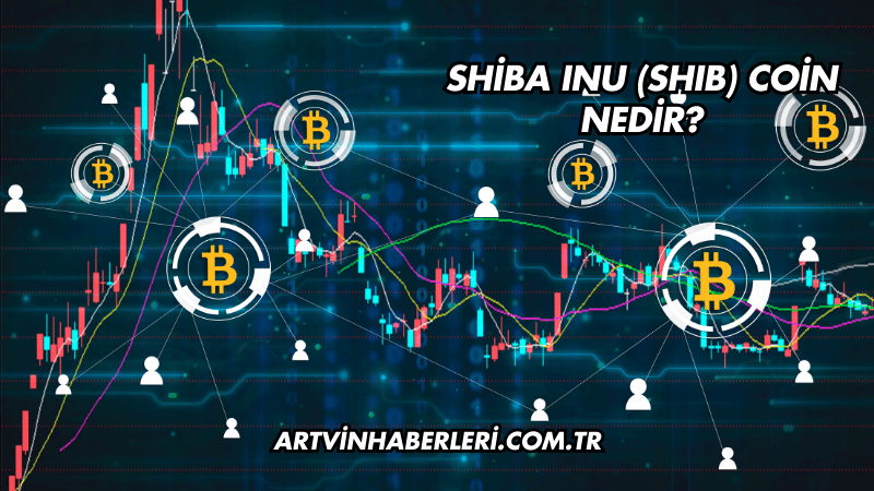 Shiba Inu (SHIB) Coin Nedir?