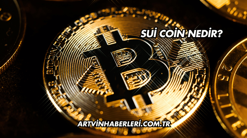 Sui Coin Nedir?