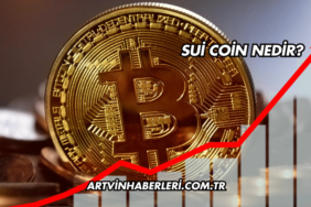 Sui Coin Nedir?