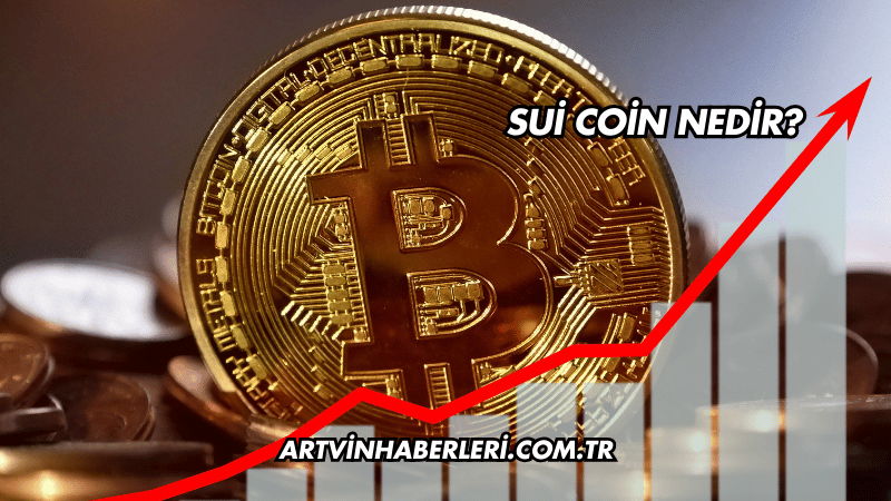 Sui Coin Nedir?