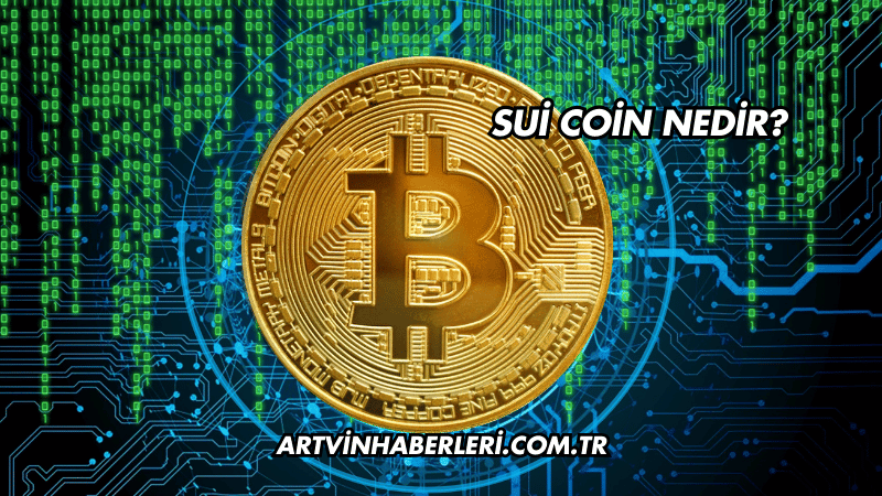 Sui Coin Nedir?