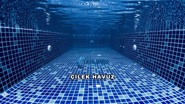 Çilek Havuz Hakkında