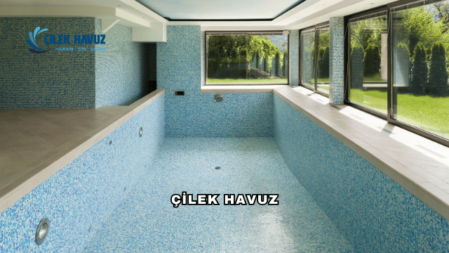 Çilek Havuz Hakkında