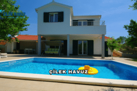 Çilek Havuz Hakkında
