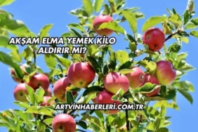 Akşam Elma Yemek Kilo Aldırır mı?
