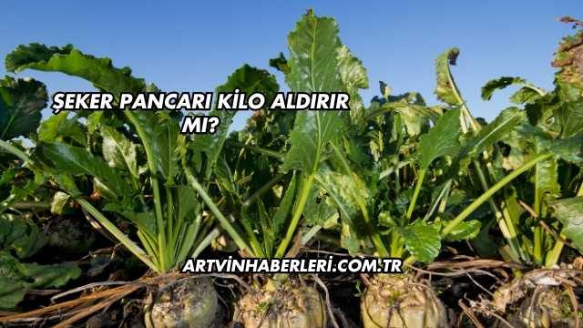 Şeker Pancarı Kilo Aldırır mı?