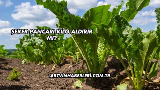 Şeker Pancarı Kilo Aldırır mı?