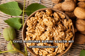 Ceviz Alzheimer Riskini Azaltır mı?