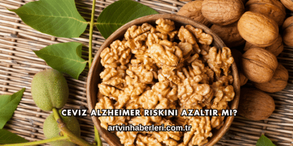 Ceviz Alzheimer Riskini Azaltır mı?